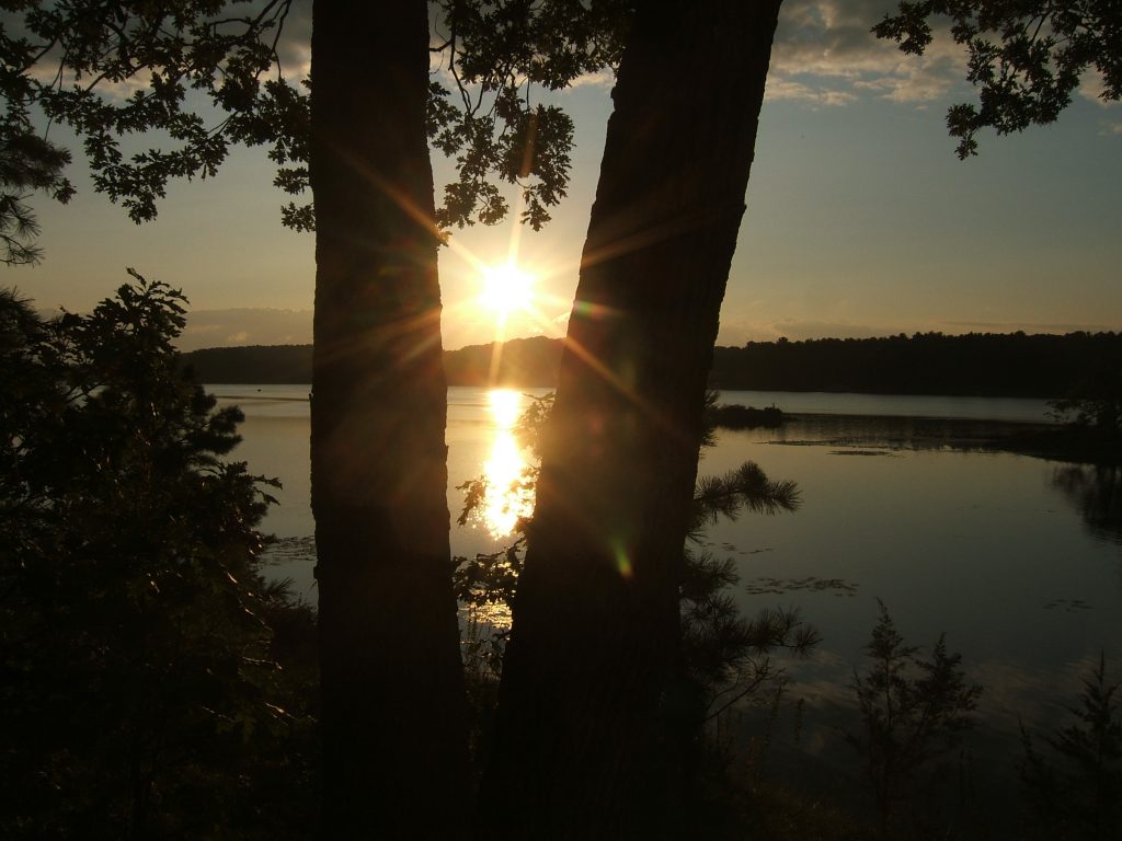 Sunrise from the cottage
